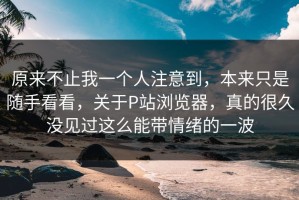 原来不止我一个人注意到，本来只是随手看看，关于P站浏览器，真的很久没见过这么能带情绪的一波