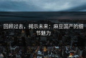 回顾过去，揭示未来：麻豆国产的细节魅力