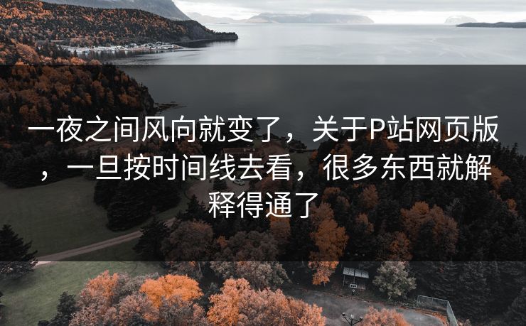 一夜之间风向就变了,关于P站网页版,一旦按时间线去看,很多东西就解释得通了 一夜之间风向就变了,关于P站网页版,一旦按时间线去看,很多东西就解释得通了