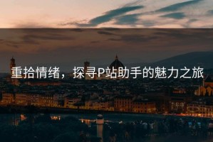 重拾情绪，探寻P站助手的魅力之旅